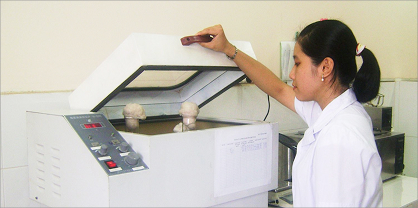 Học đi đôi với hành